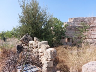 Basilica Pitturata